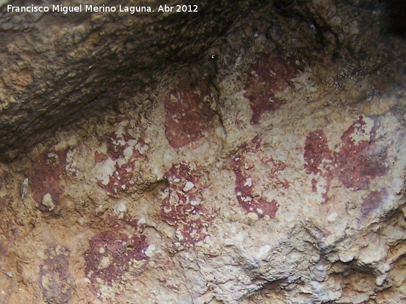 Pinturas rupestres del Abrigo de la Peña Grajera Grupo IV - Pinturas rupestres del Abrigo de la Peña Grajera Grupo IV. Detalle