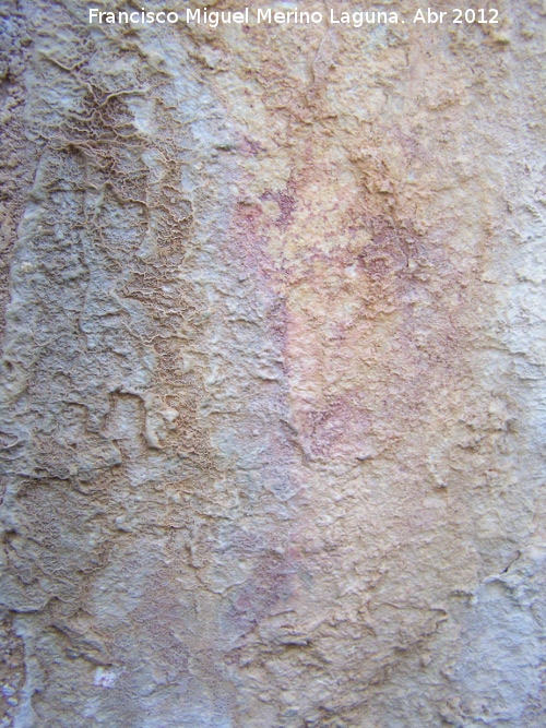 Pinturas rupestres del Abrigo de la Peña Grajera Grupo V - Pinturas rupestres del Abrigo de la Peña Grajera Grupo V. Barra