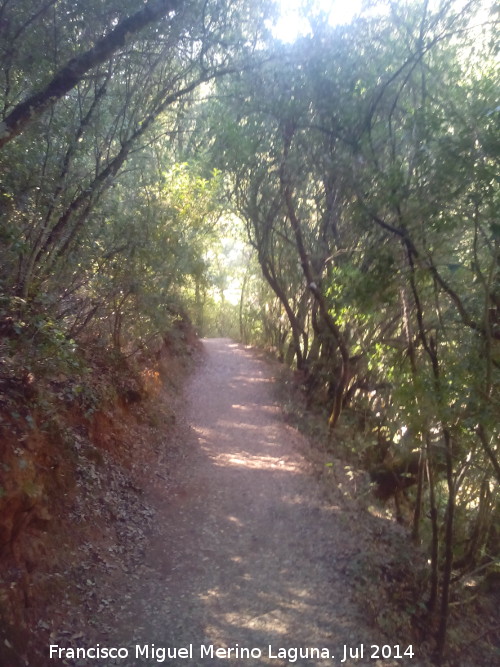 Cerrada de Elías - Cerrada de Elías. 