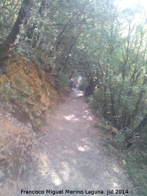 Cerrada de Elías - Cerrada de Elías. 