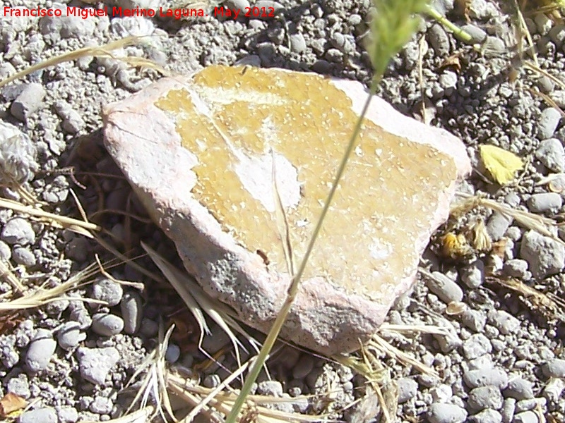 Yacimiento islámico de Tózar - Yacimiento islámico de Tózar. Cerámica vidriada