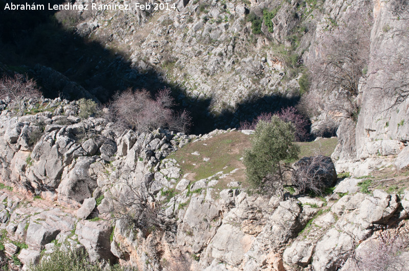 Cerro Castellón - Cerro Castellón. Meseta