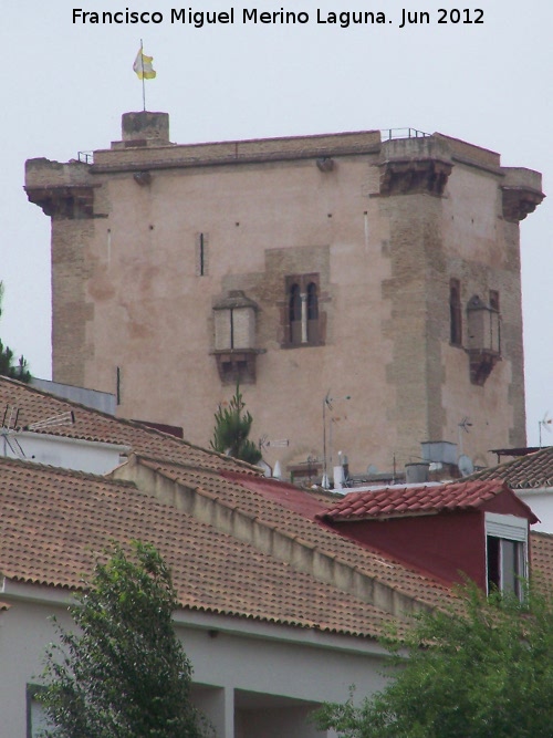 Torre de Garci Méndez - Torre de Garci Méndez. 