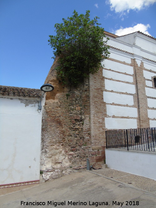 Torre de Garci Méndez - Torre de Garci Méndez. Muro del castillo