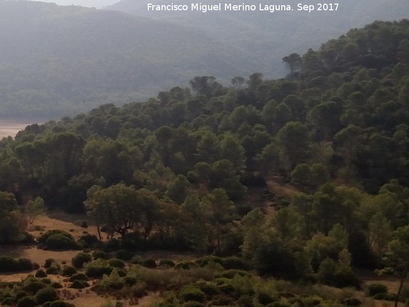 Parque de fauna silvestre Collado del Almendral - Parque de fauna silvestre Collado del Almendral. Desde el Mirador Félix Rodríguez de la Fuente