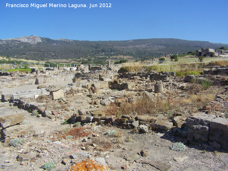 Baelo Claudia - Baelo Claudia. Ruinas al norte del decumanus maximus