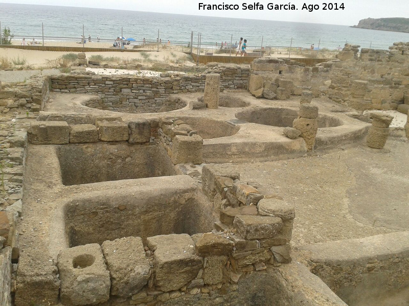Baelo Claudia. Fábricas de Salazón - Baelo Claudia. Fábricas de Salazón. 