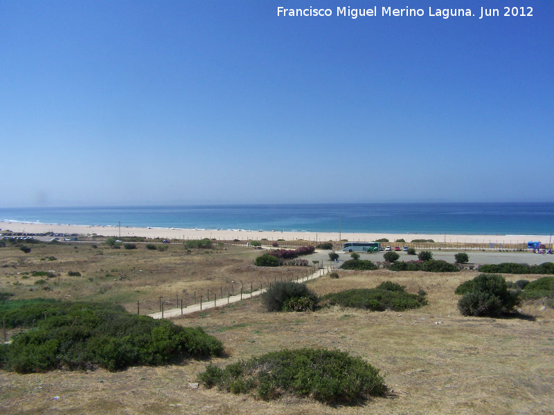 Playa de Bolonia - Playa de Bolonia. 