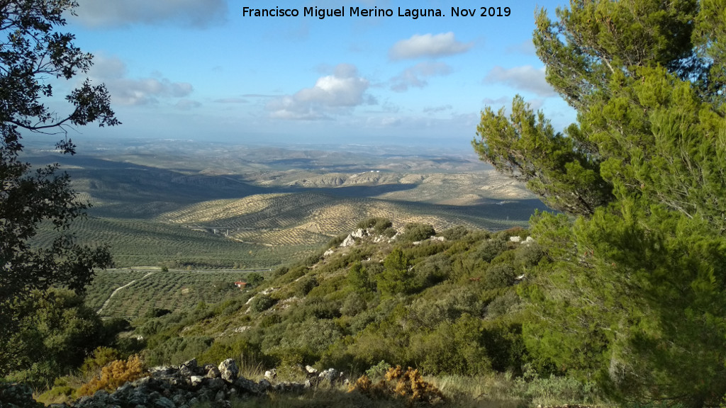 Cerro Miguelico - Cerro Miguelico. Vistas