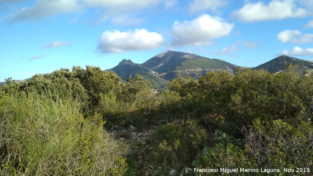 Cerro Miguelico - Cerro Miguelico. Vistas hacia Jabalcuz