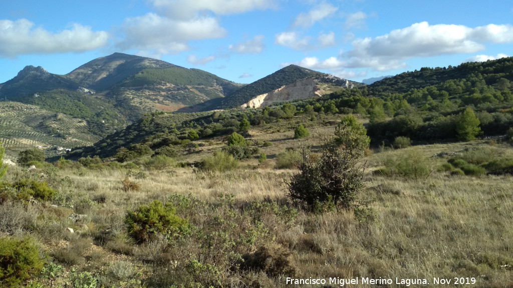 Cerro Miguelico - Cerro Miguelico. Llanos altos