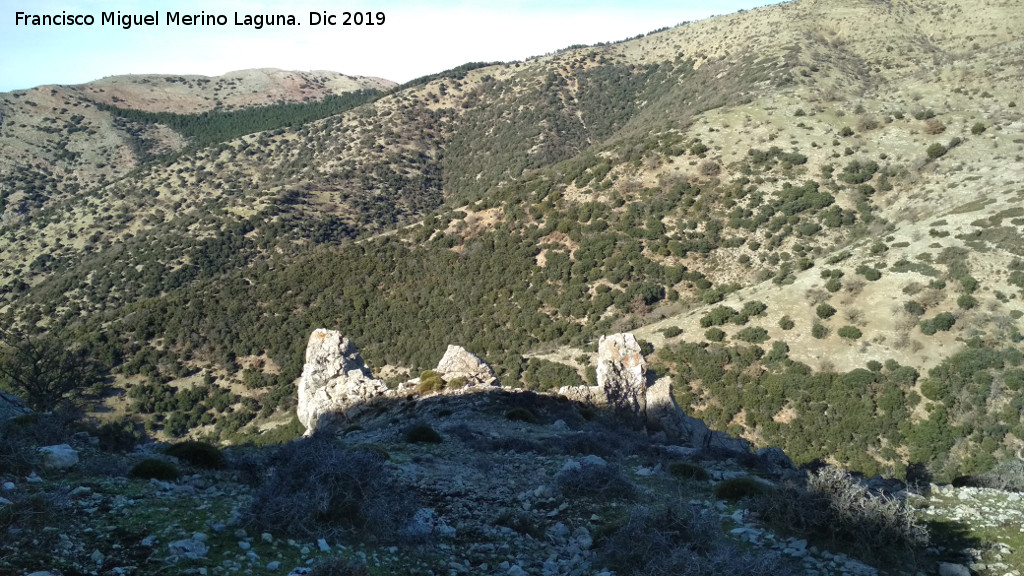 Cerro Los Morales - Cerro Los Morales. Vistas hacia las laderas de Ventisqueros
