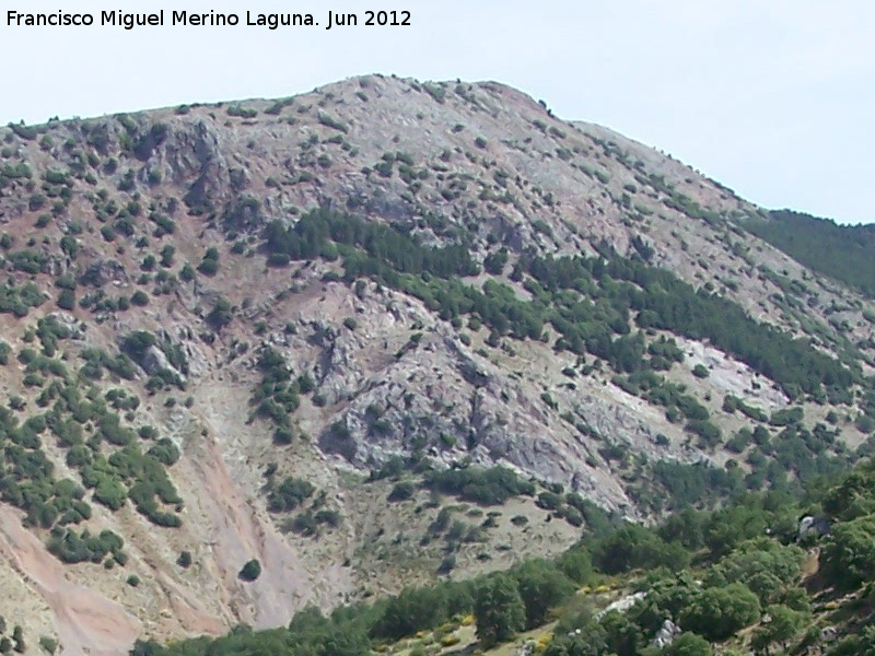 Cerro El Morrón - Cerro El Morrón. 