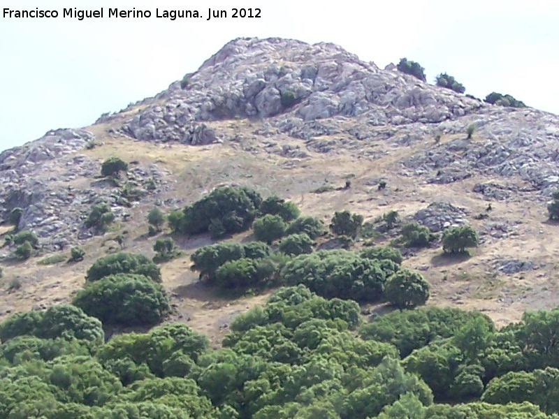 Monte de las Ánimas - Monte de las Ánimas. 