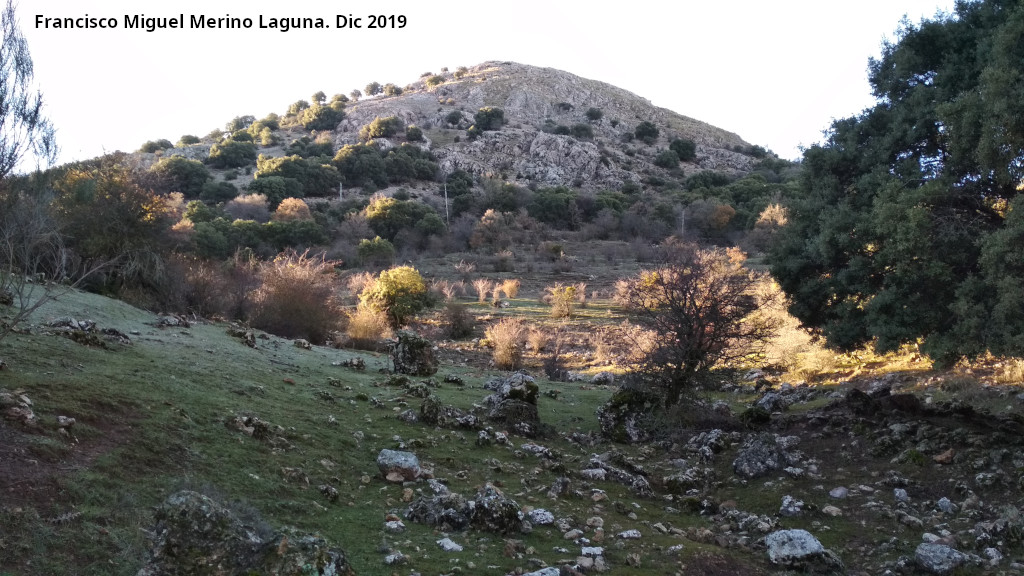 Monte de las �nimas - Monte de las �nimas. Desde la Trocha de Carboneros