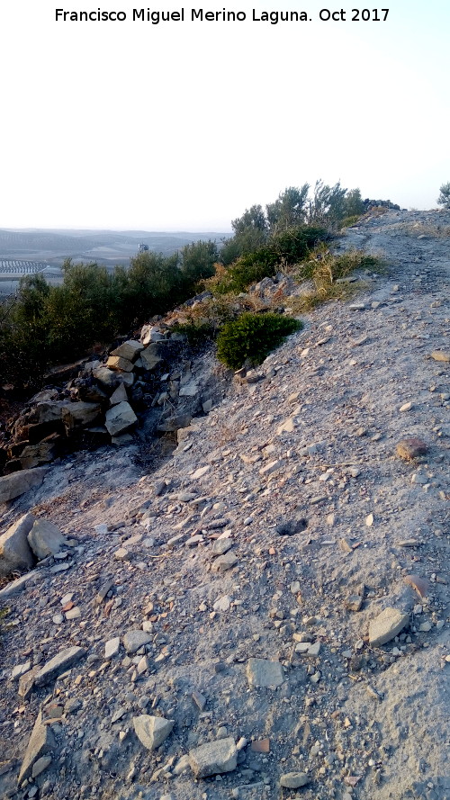 Oppidum Cerro Bollero - Oppidum Cerro Bollero. Línea de muralla