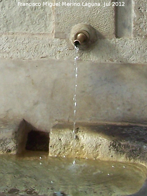 Fuente del Pltano - Fuente del Pltano. Cao