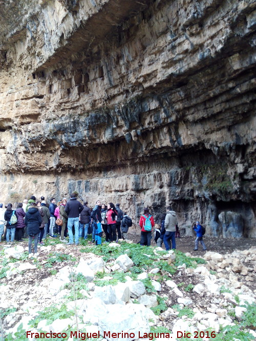 Petroglifos rupestres de El Toril - Petroglifos rupestres de El Toril. Grupo de personas para contemplar el solsticio