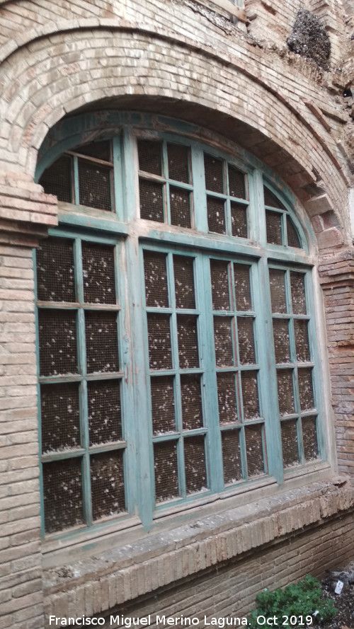 Carniceras Pblicas - Carniceras Pblicas. Ventana al patio