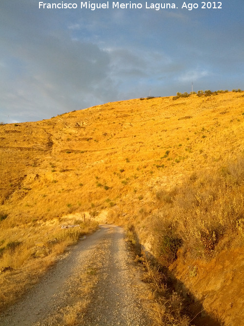 Bancales del Cerrajón - Bancales del Cerrajón. 