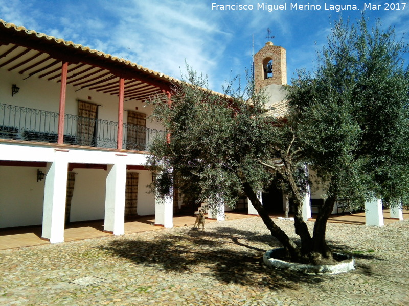 Olivo - Olivo. Santuario de la Encarnación - Carrión de Calatrava