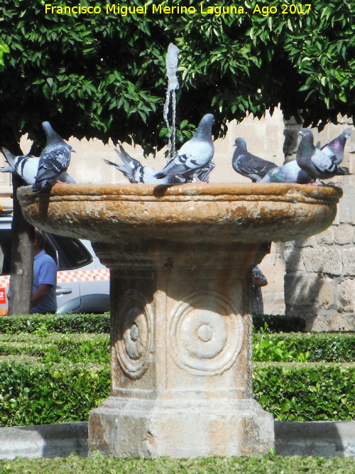 Fuente de la Plaza Vázquez de Molina - Fuente de la Plaza Vázquez de Molina. 