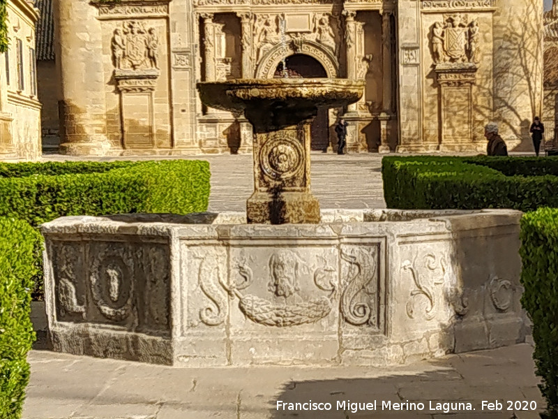 Fuente de la Plaza V�zquez de Molina - Fuente de la Plaza V�zquez de Molina. 
