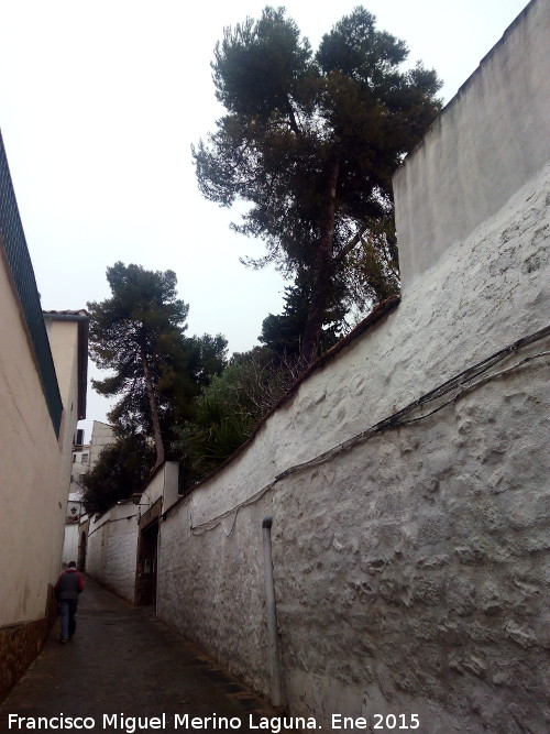 Calle Huerto del Canónigo - Calle Huerto del Canónigo. 