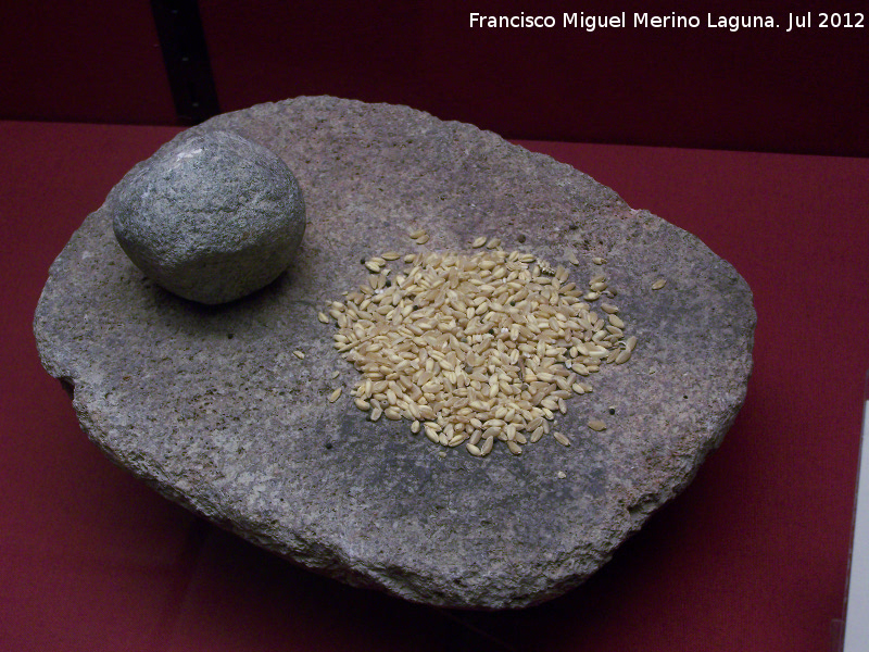 Eras del Alcázar - Eras del Alcázar. Molino barquiforme. Museo Arqueológico de Úbeda