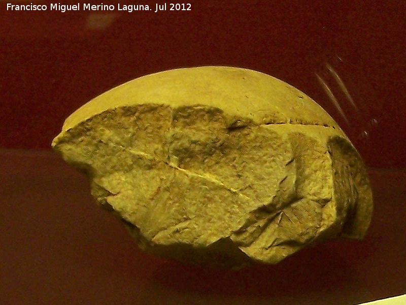 Yacimiento paleol�tico La Calera - Yacimiento paleol�tico La Calera. Canto tallado. Museo Arqueol�gico de �beda