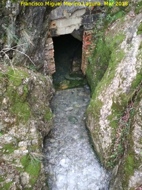 Cueva de los Baos - Cueva de los Baos. Saliendo agua de ella y produciendo el nacimiento del Arroyo de los Baos