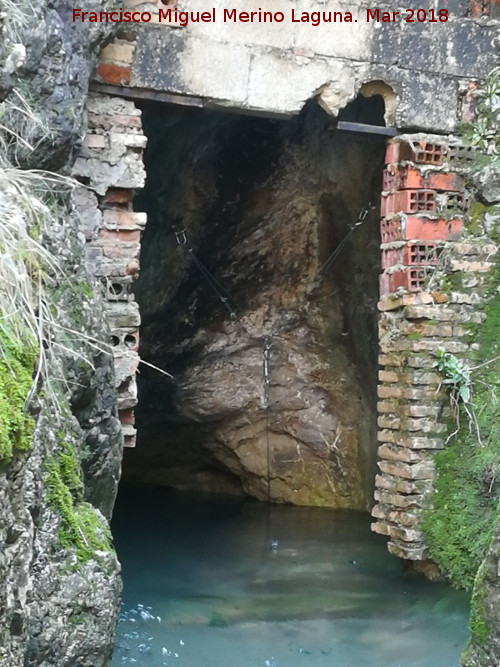 Cueva de los Baos - Cueva de los Baos. Saliendo agua de ella y produciendo el nacimiento del Arroyo de los Baos