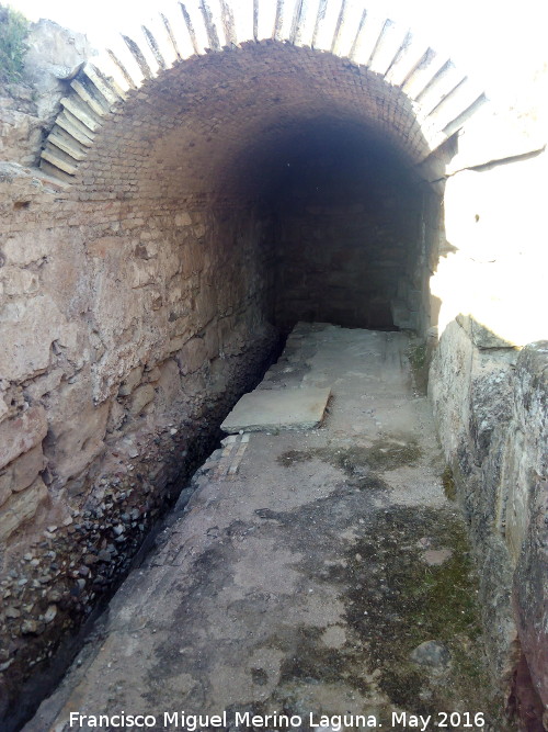 Cstulo. Letrinas - Cstulo. Letrinas. 