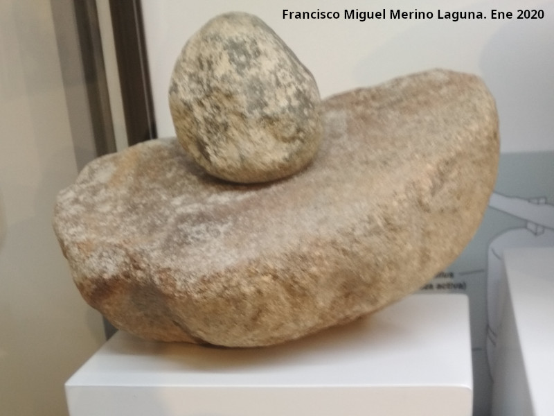 Palacio ibero del Cerro de la Merced - Palacio ibero del Cerro de la Merced. Molino de mano. Exposici�n en el Museo Ibero de Ja�n