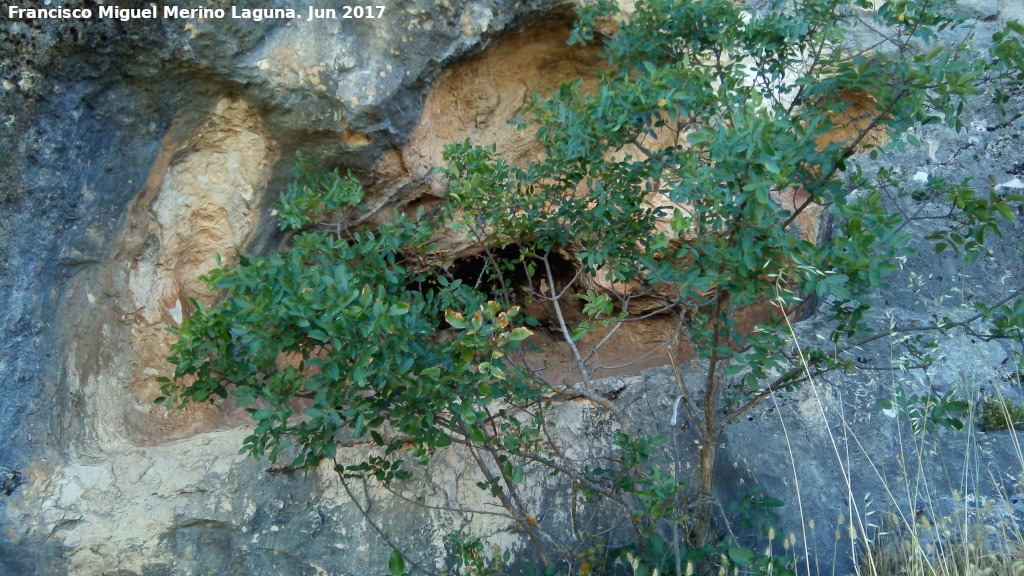Pinturas rupestres del Abrigo de Peñas Rubias I - Pinturas rupestres del Abrigo de Peñas Rubias I. Abrigo