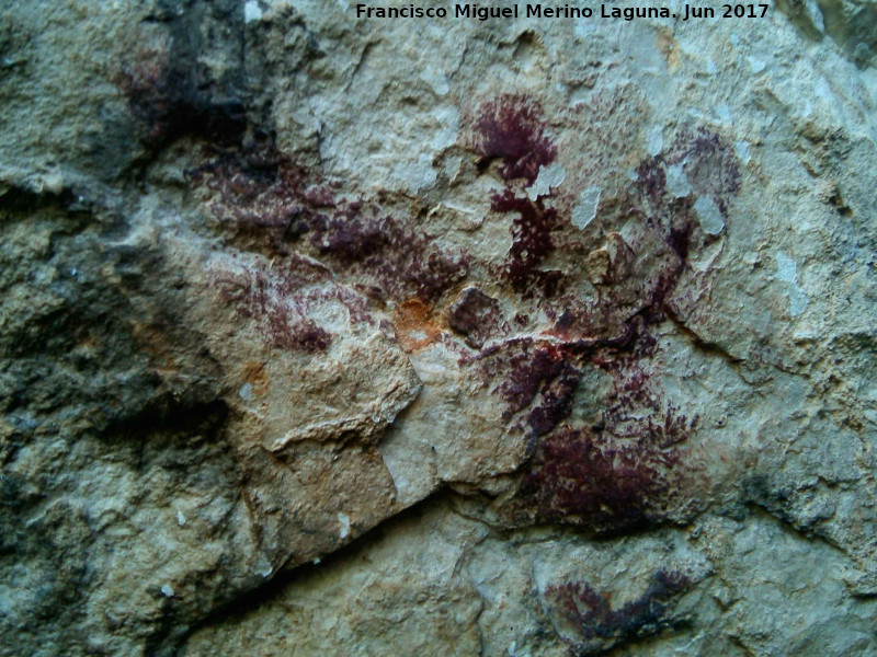 Pinturas rupestres del Abrigo de Peñas Rubias I - Pinturas rupestres del Abrigo de Peñas Rubias I. Antropomorfo del grupo III