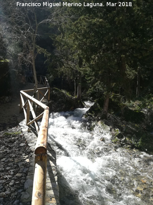 Arroyo de los Baños - Arroyo de los Baños. 