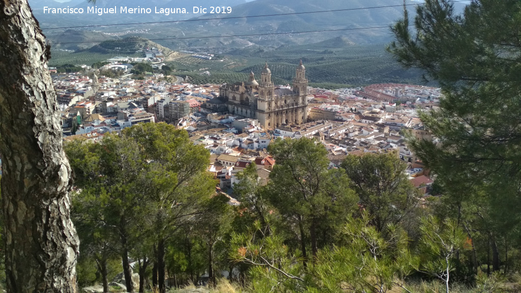 Catedral de Ja�n - Catedral de Ja�n. Desde el Cerro de Santa Catalina