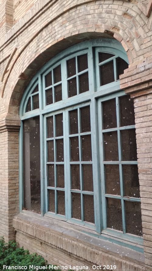 Grupo Escolar de los Caños - Grupo Escolar de los Caños. Ventana al patio