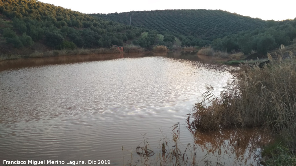 Charca de El Tostadero - Charca de El Tostadero. 