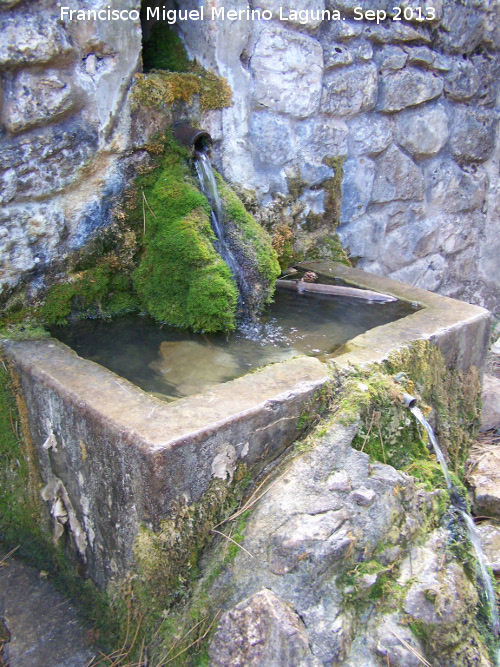 Fuente del Chorro - Fuente del Chorro. Caño