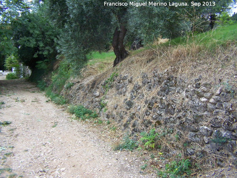 Camino de la Bañizuela - Camino de la Bañizuela. Muros de piedra