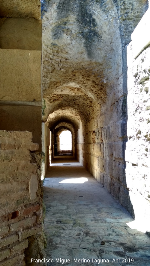 Itlica. Anfiteatro - Itlica. Anfiteatro. 