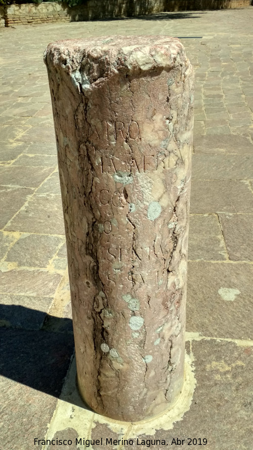 Itálica. Anfiteatro - Itálica. Anfiteatro. 