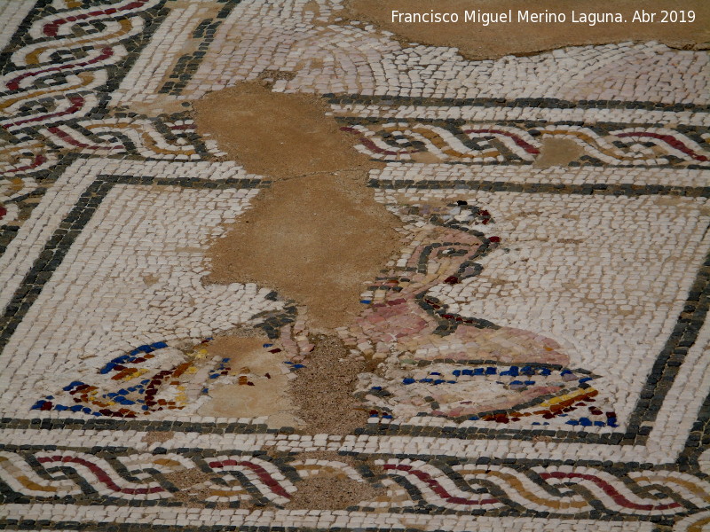 Itálica. Casa de Neptuno - Itálica. Casa de Neptuno. Detalle