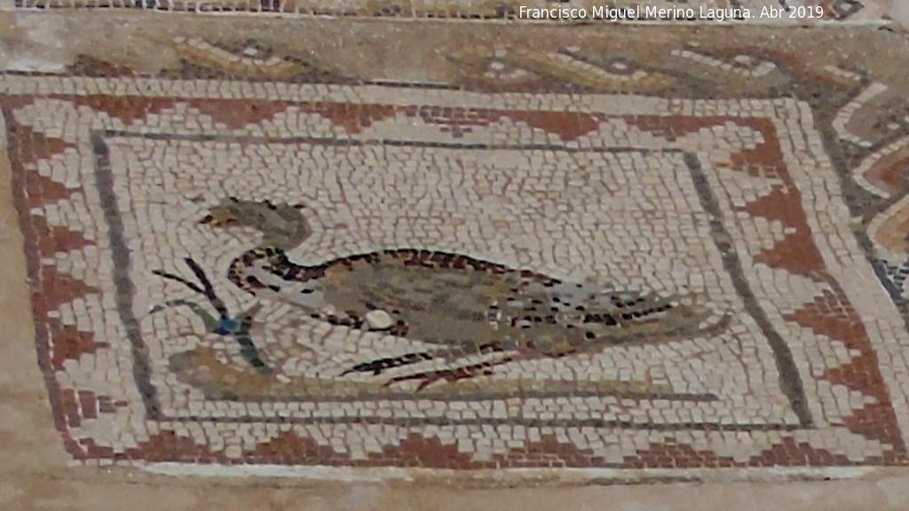 Itlica. Casa de los Pjaros - Itlica. Casa de los Pjaros. 