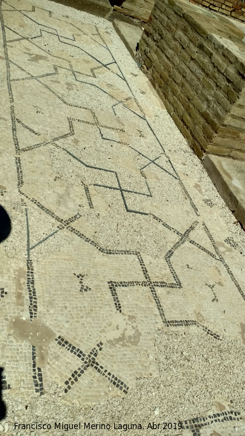 Itlica. Casa de los Pjaros - Itlica. Casa de los Pjaros. Mosaico de la galera