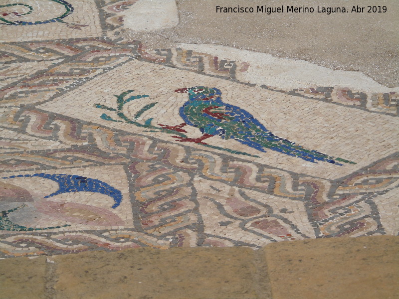 Itálica. Casa de los Pájaros - Itálica. Casa de los Pájaros. Detalle