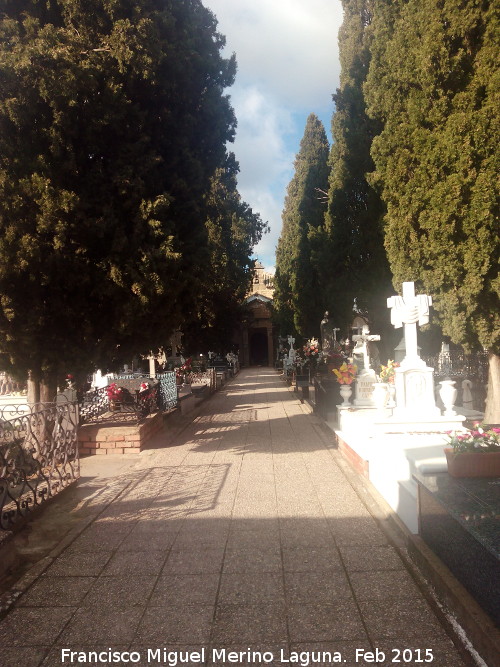 Cementerio de San Ginés - Cementerio de San Ginés. 