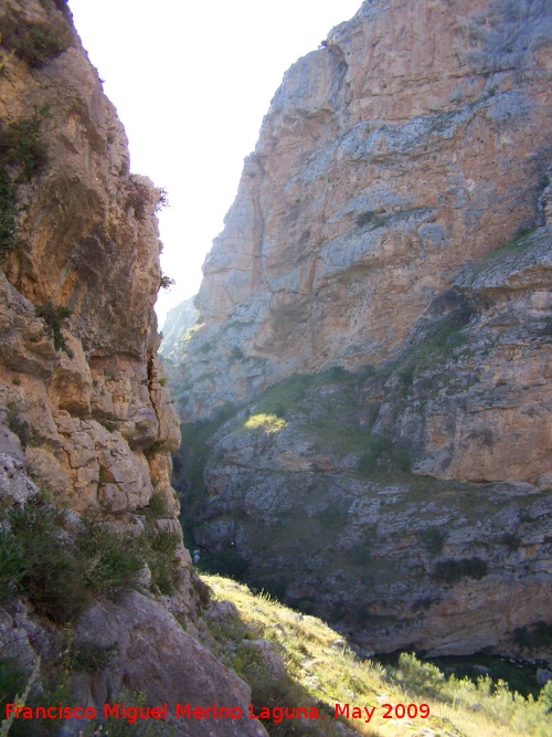 Los Cañones - Los Cañones. 